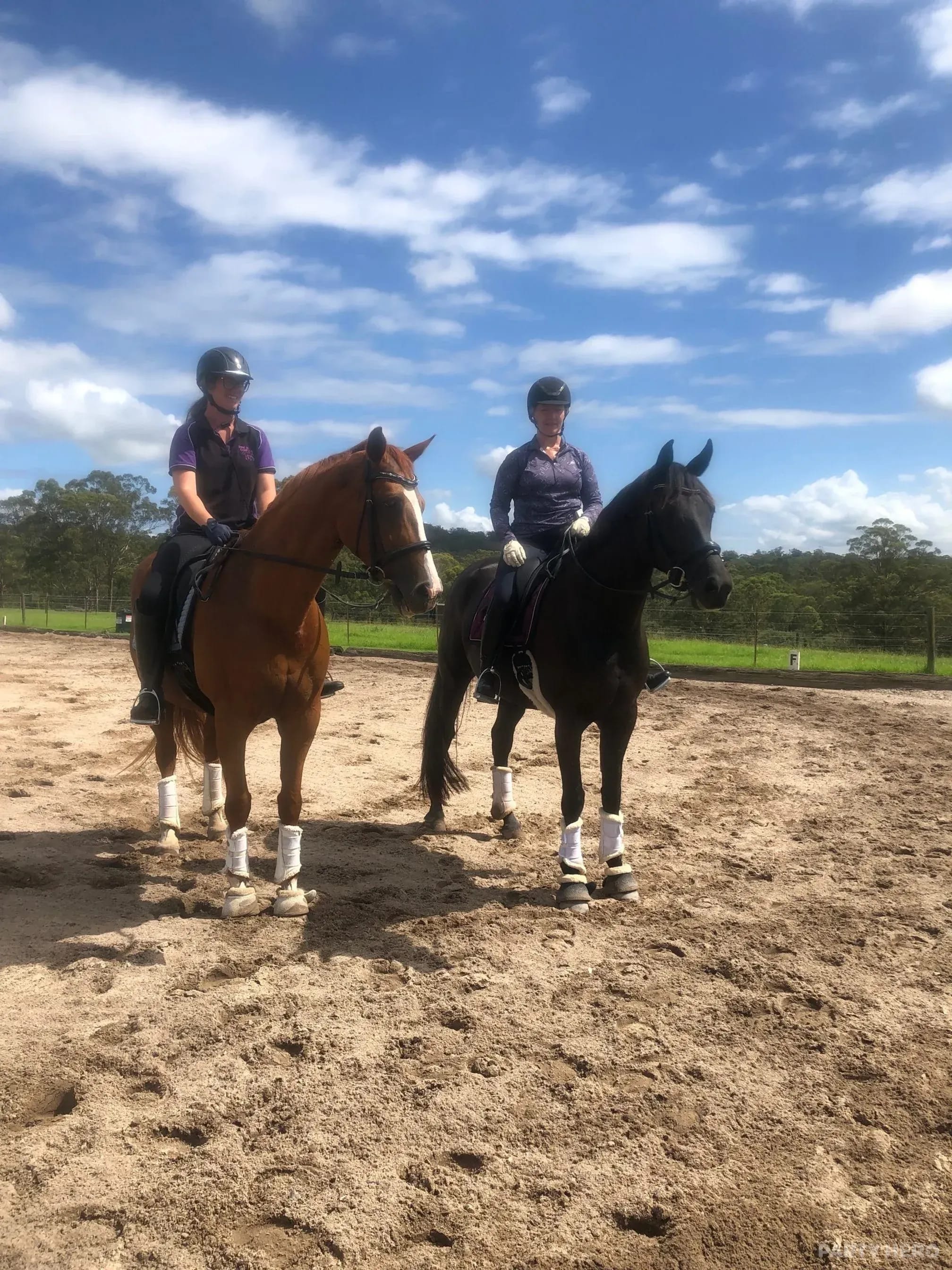 Sydney Horse Riding horse riding in Sydney - group bookings