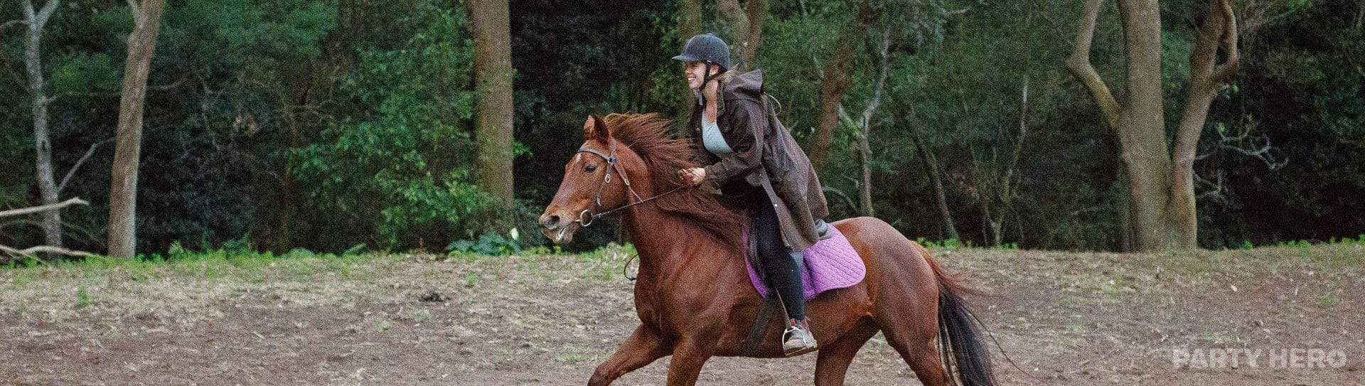 Otford Farm - horse riding in Wollongong