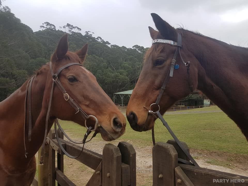 Otford Farm - horse riding in Wollongong