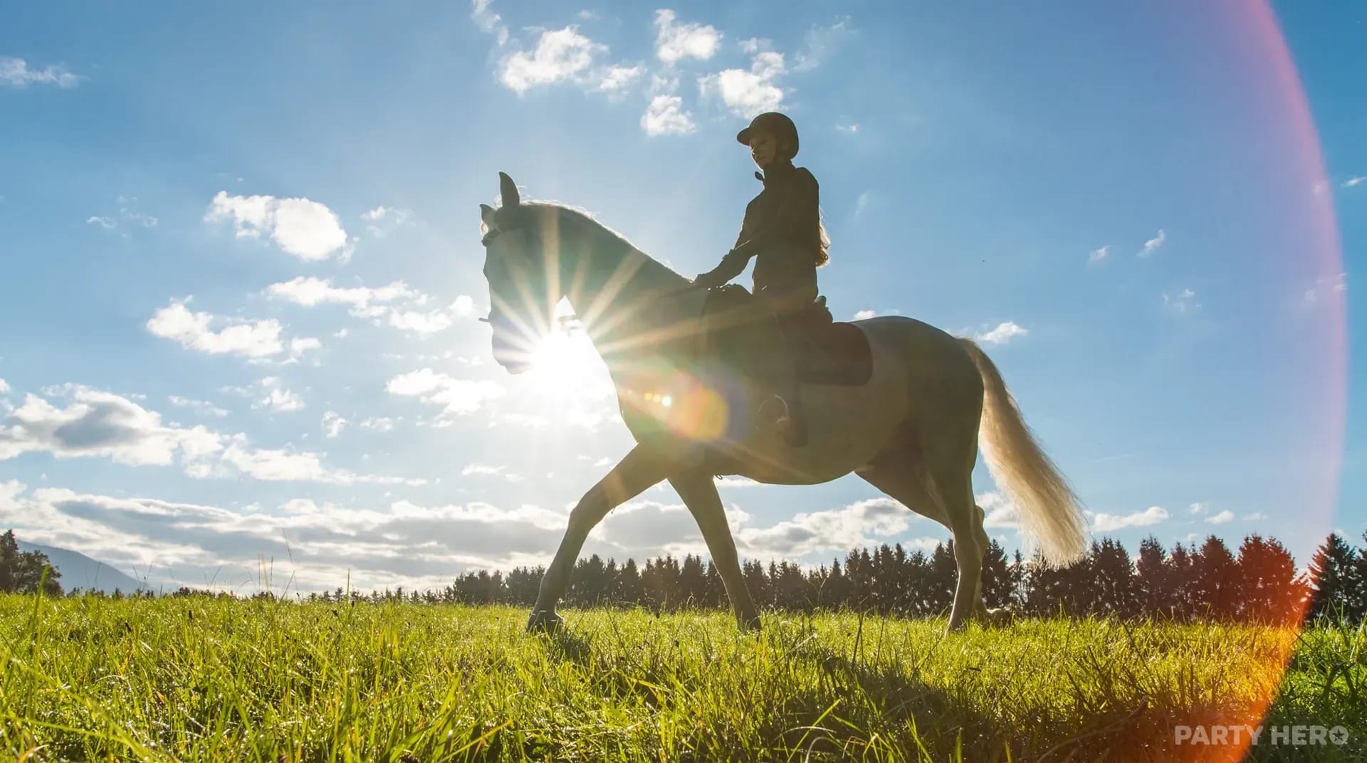 Sydney Hills Horse Riding Centre horse riding in Sydney - group bookings