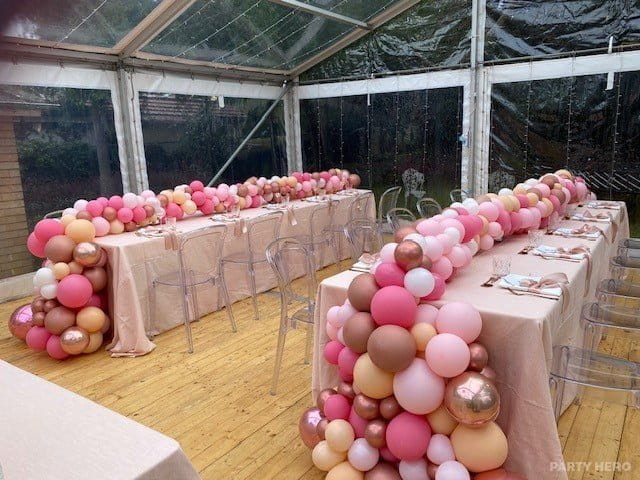 Balloon Elegance Sydney activity in Sydney - group bookings