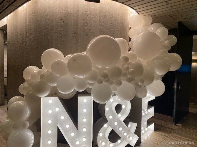 Balloon Elegance Sydney activity in Sydney - group bookings