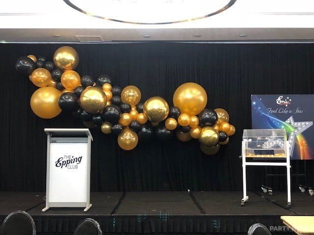 Balloon Elegance Sydney activity in Sydney - group bookings
