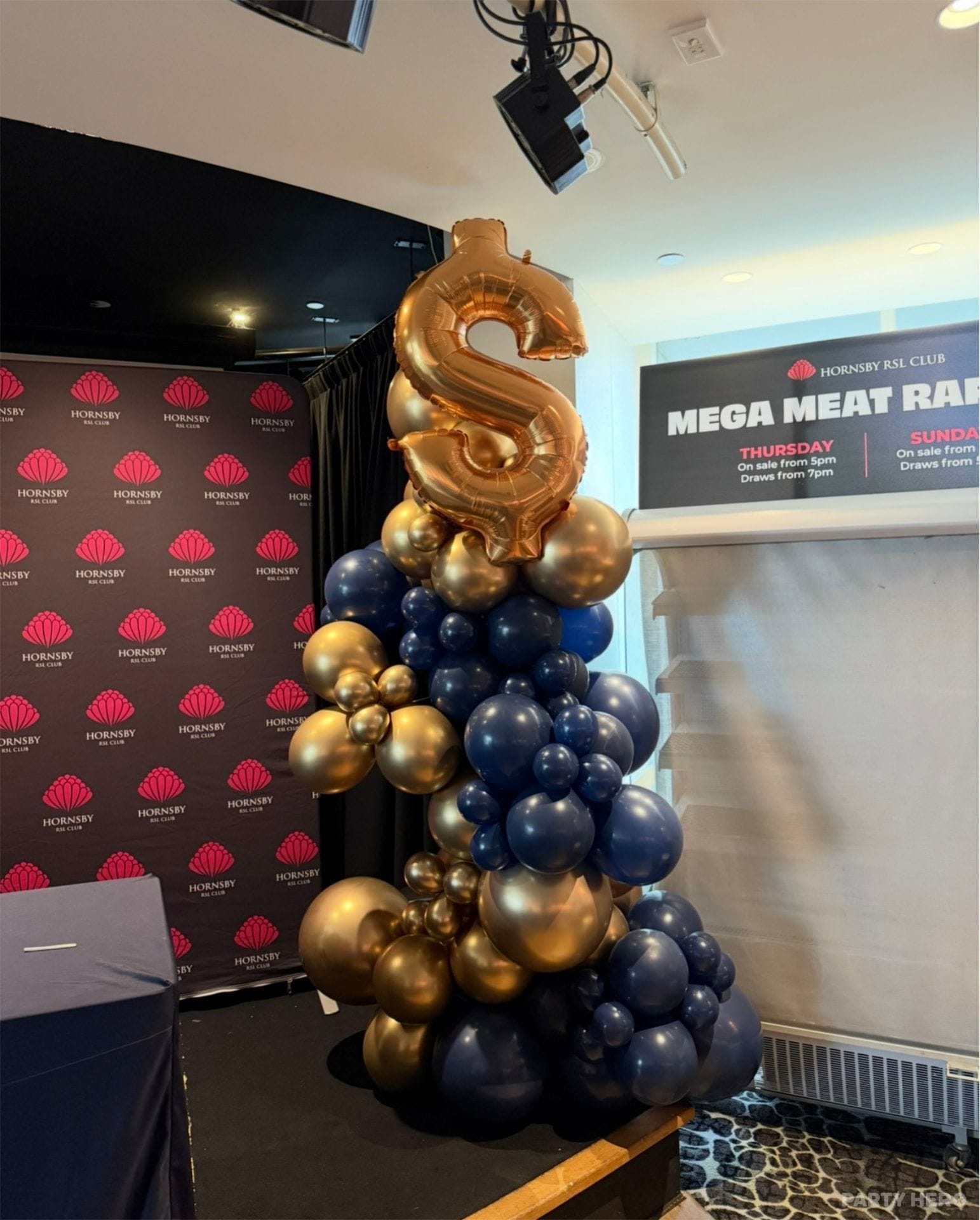 Balloon Elegance Sydney activity in Sydney - group bookings