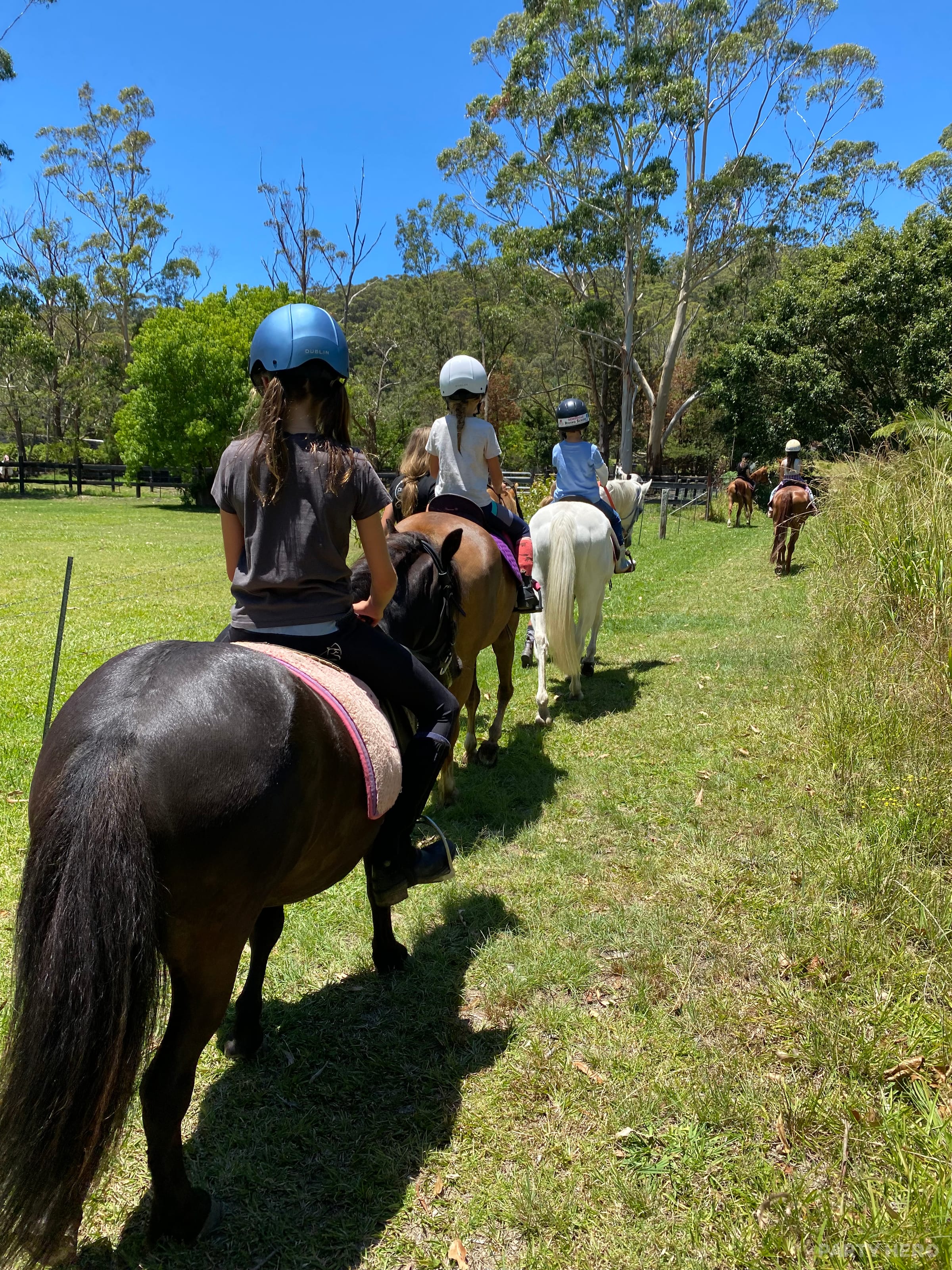 Bensville Riding School - horse riding on the Central Coast