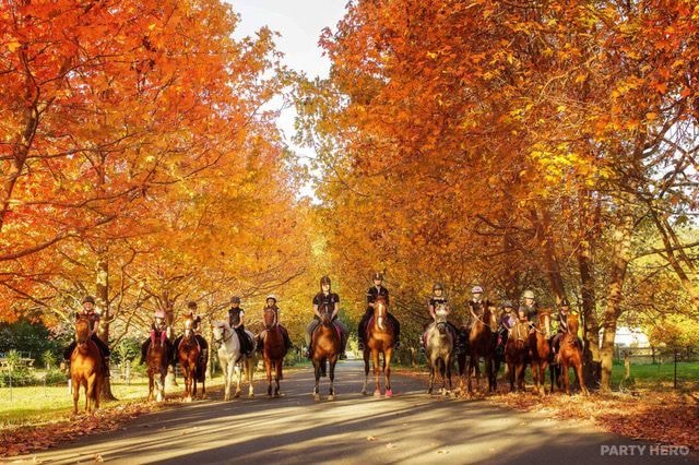 Bensville Riding School - horse riding on the Central Coast
