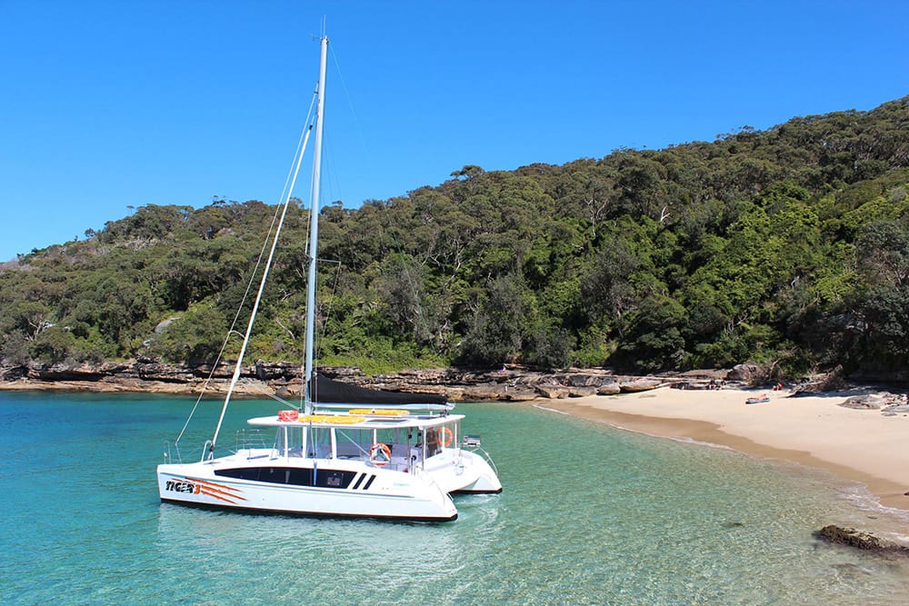 Tiger Catamarans - Sydney Harbour boat hire