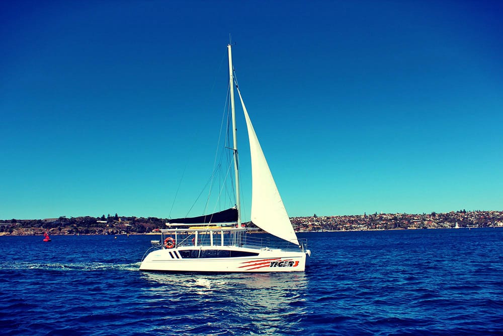 Tiger Catamarans - Sydney Harbour boat hire