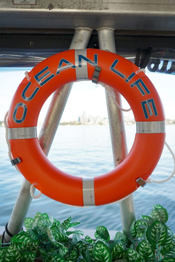 Ocean Life - Sydney Harbour boat hire