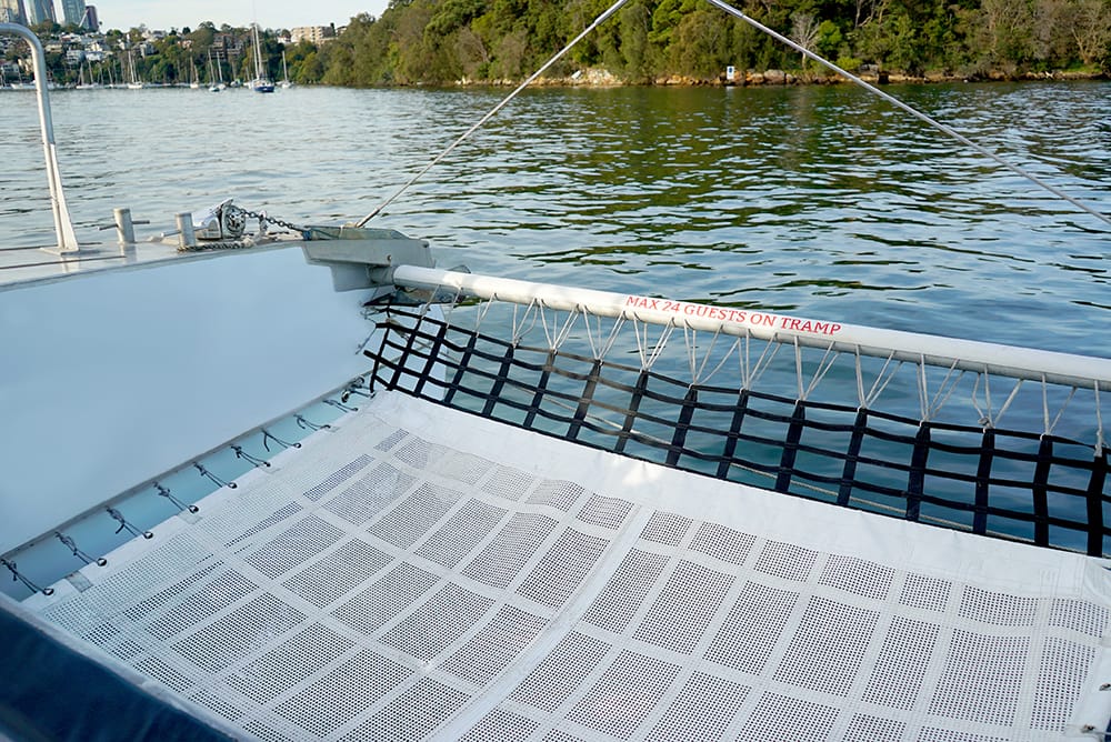 Ocean Life - Sydney Harbour boat hire