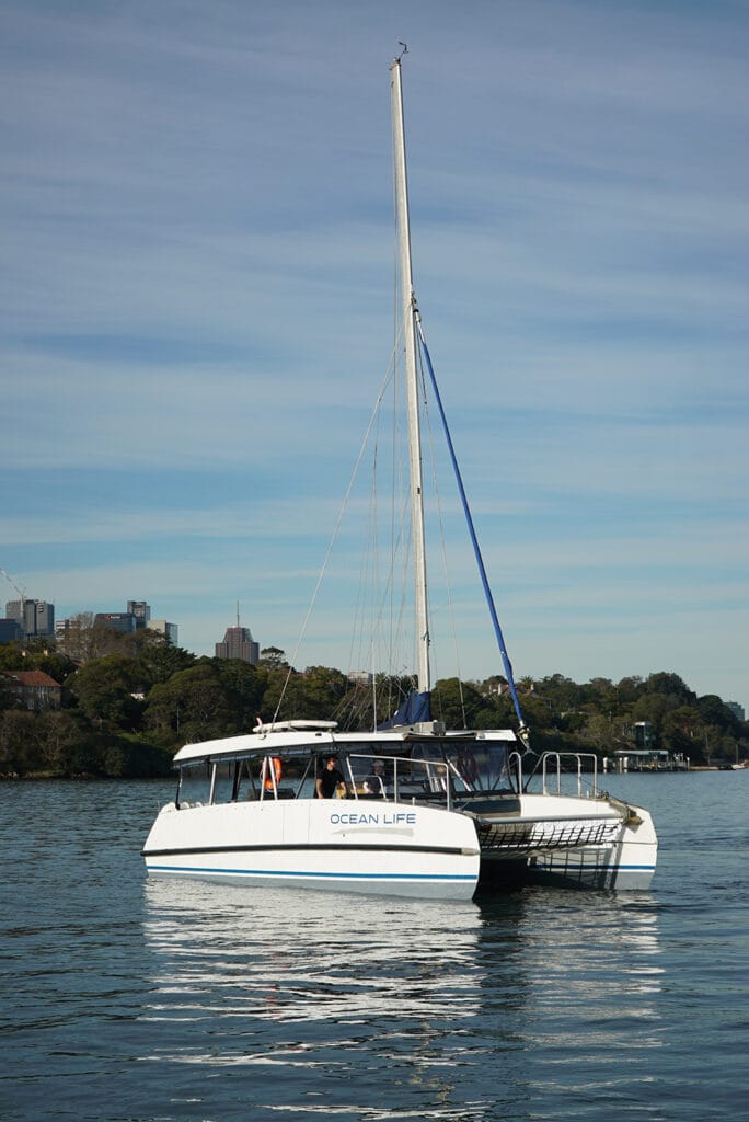 Ocean Life - Sydney Harbour boat hire