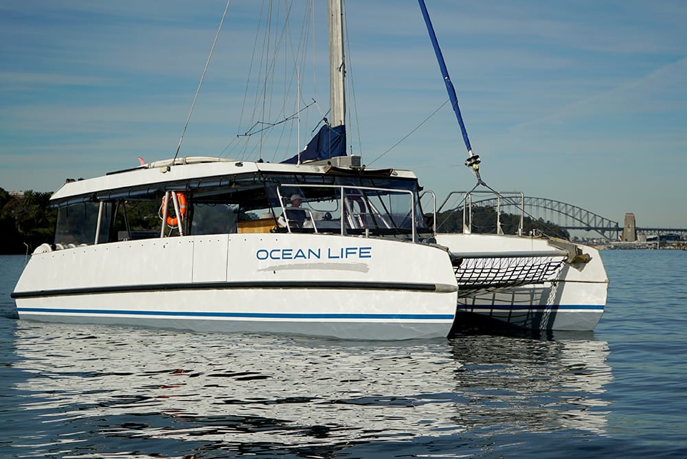 Ocean Life - Sydney Harbour boat hire
