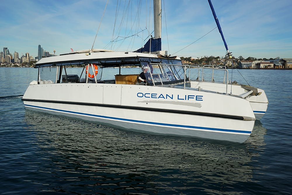 Ocean Life - Sydney Harbour boat hire
