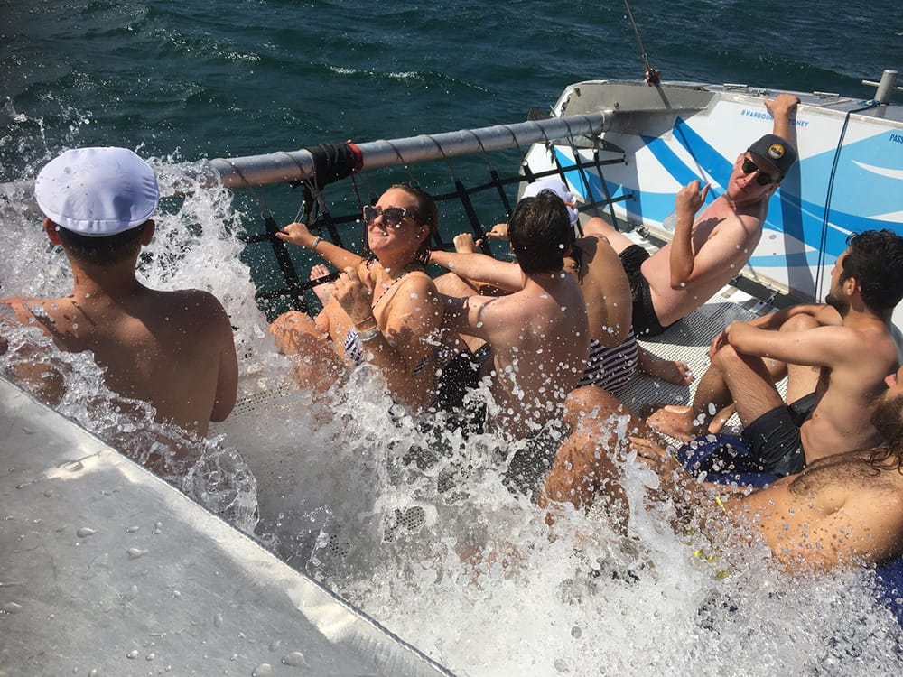 Ocean Life - Sydney Harbour boat hire