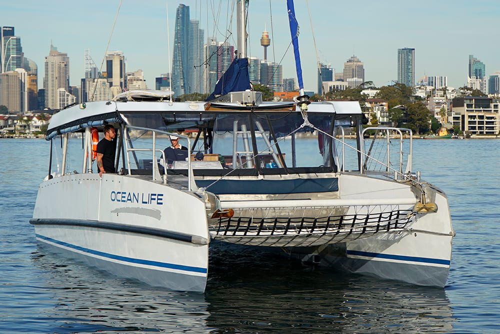 Ocean Life - Sydney Harbour boat hire