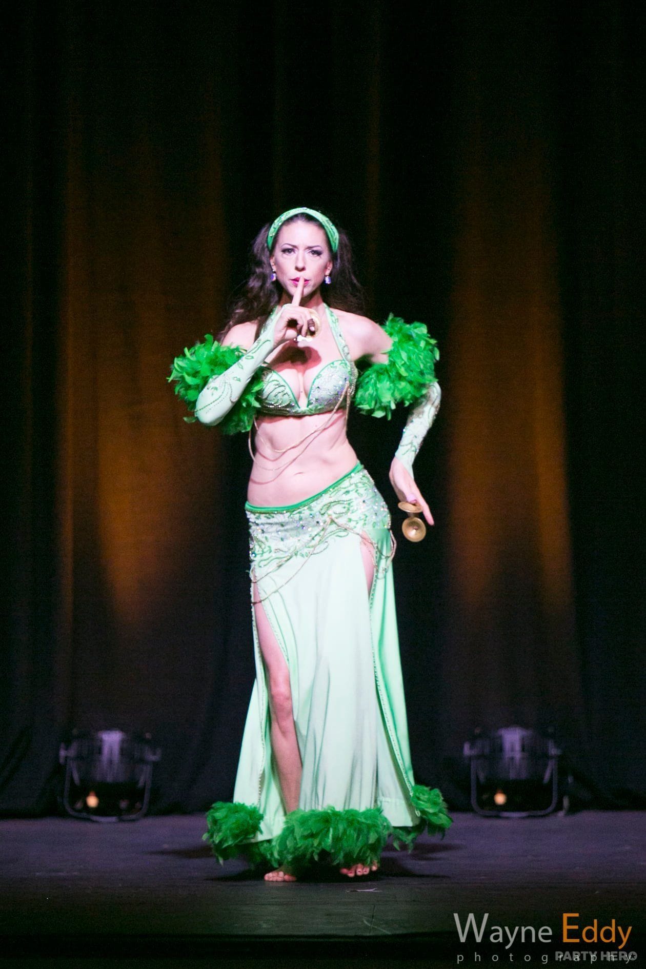 Rachel Sydney Bellydancer - dancers in Sydney