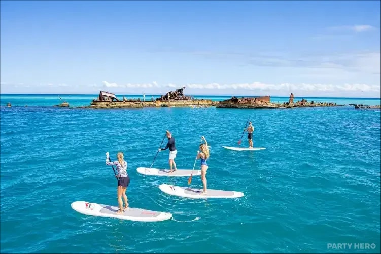 See Moreton - wildlife experiences in Brisbane