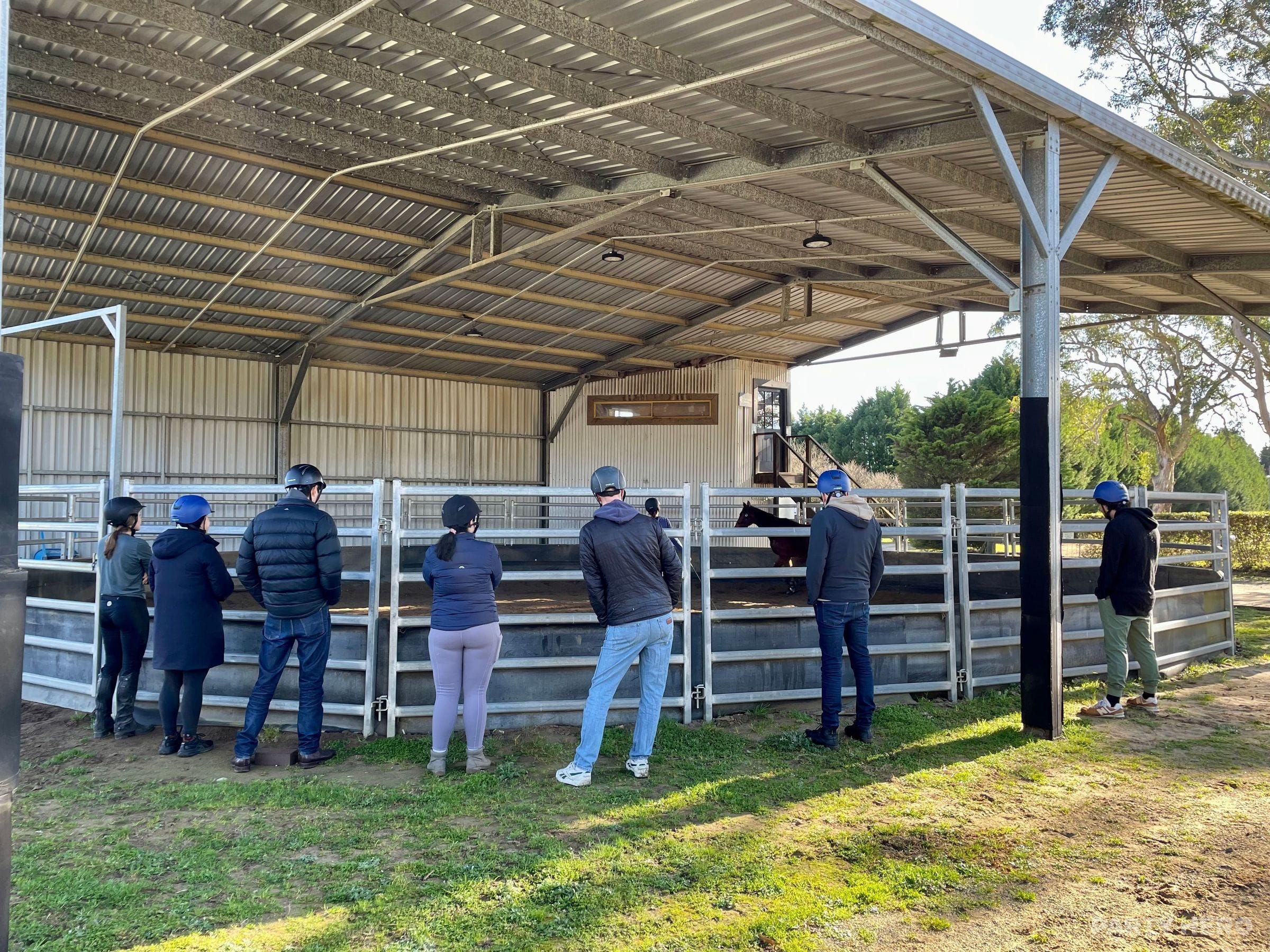 The Parklands Stables - horse riding in the Southern Highlands