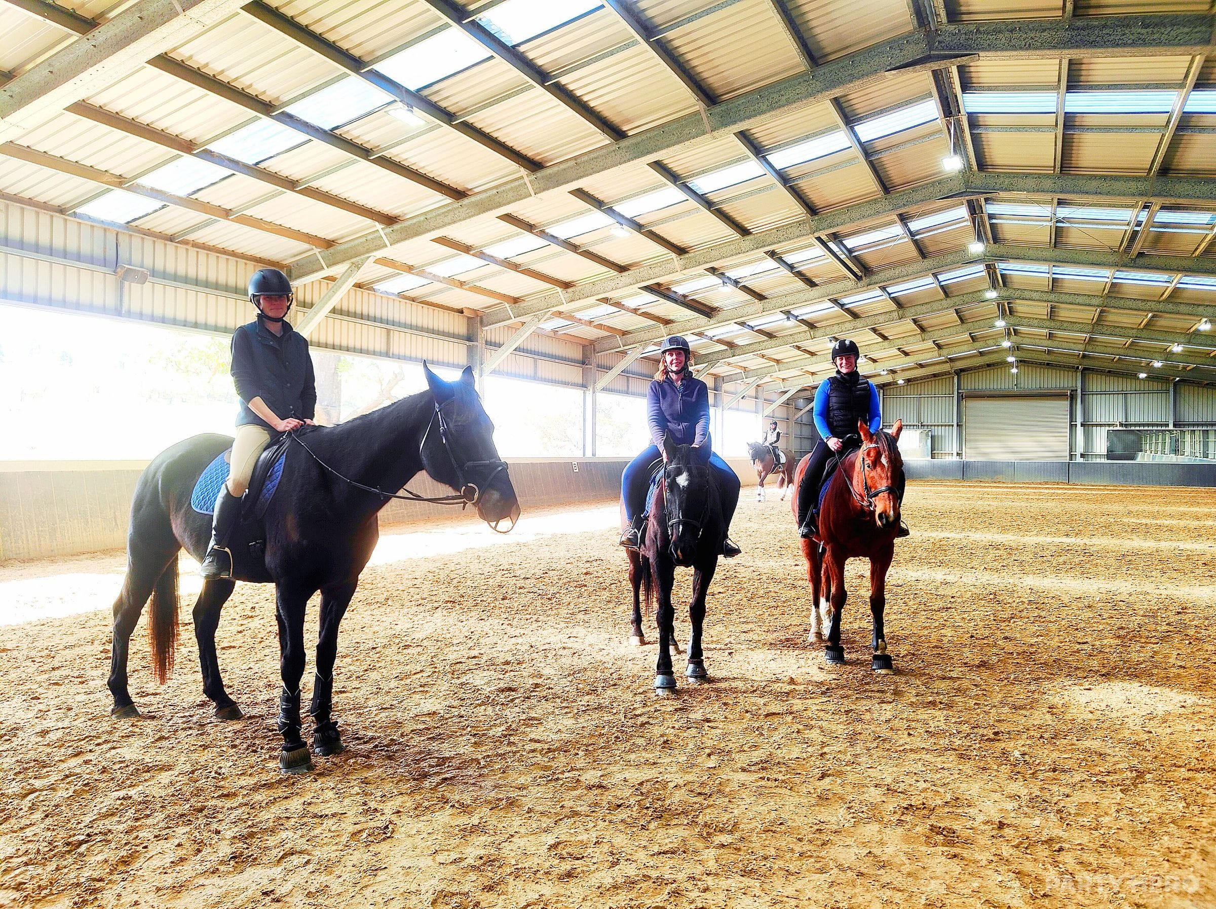 The Parklands Stables - horse riding in the Southern Highlands