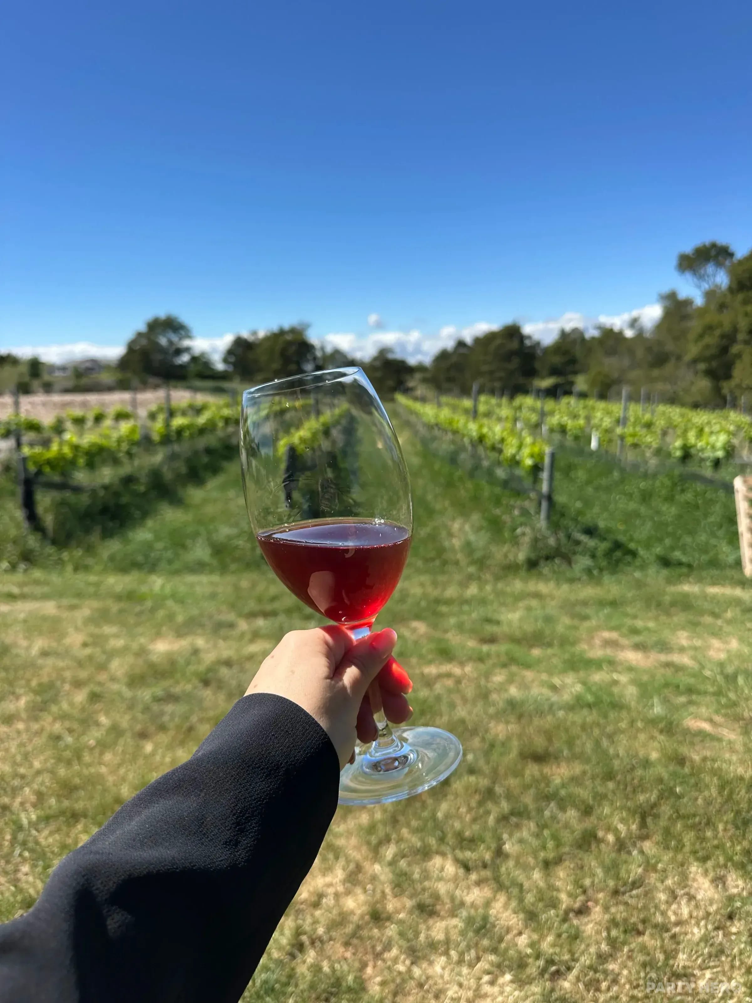 Dawning Day Winery & Distillery - tasting experiences in the Southern Highlands