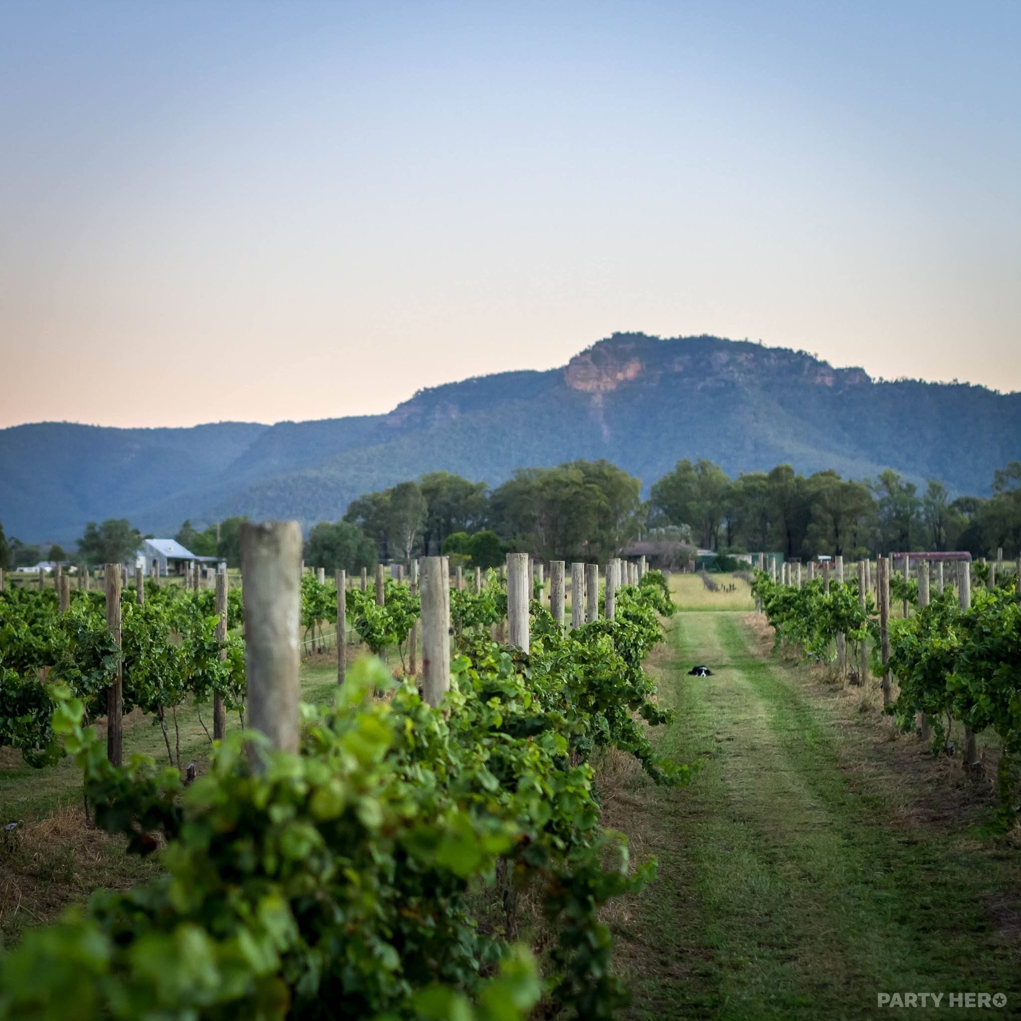 Broke Estate - accommodation in the Hunter Valley