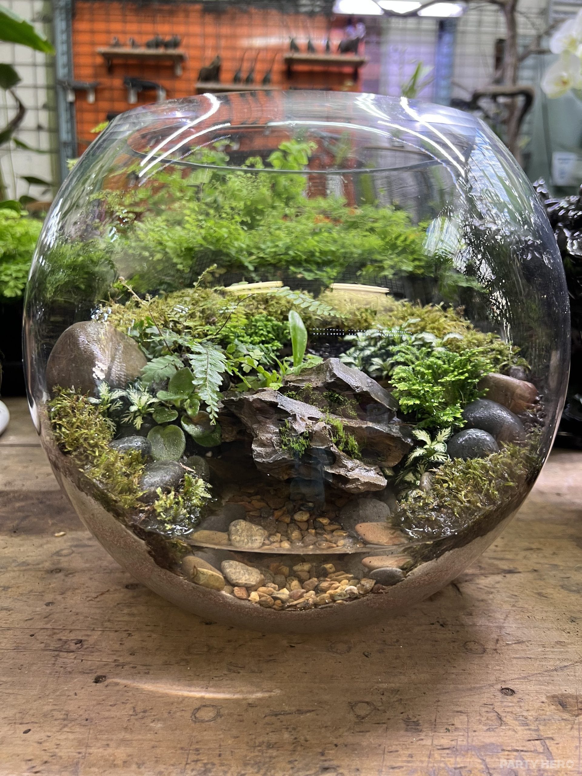 MJC Botanical - paint and sip in Brisbane