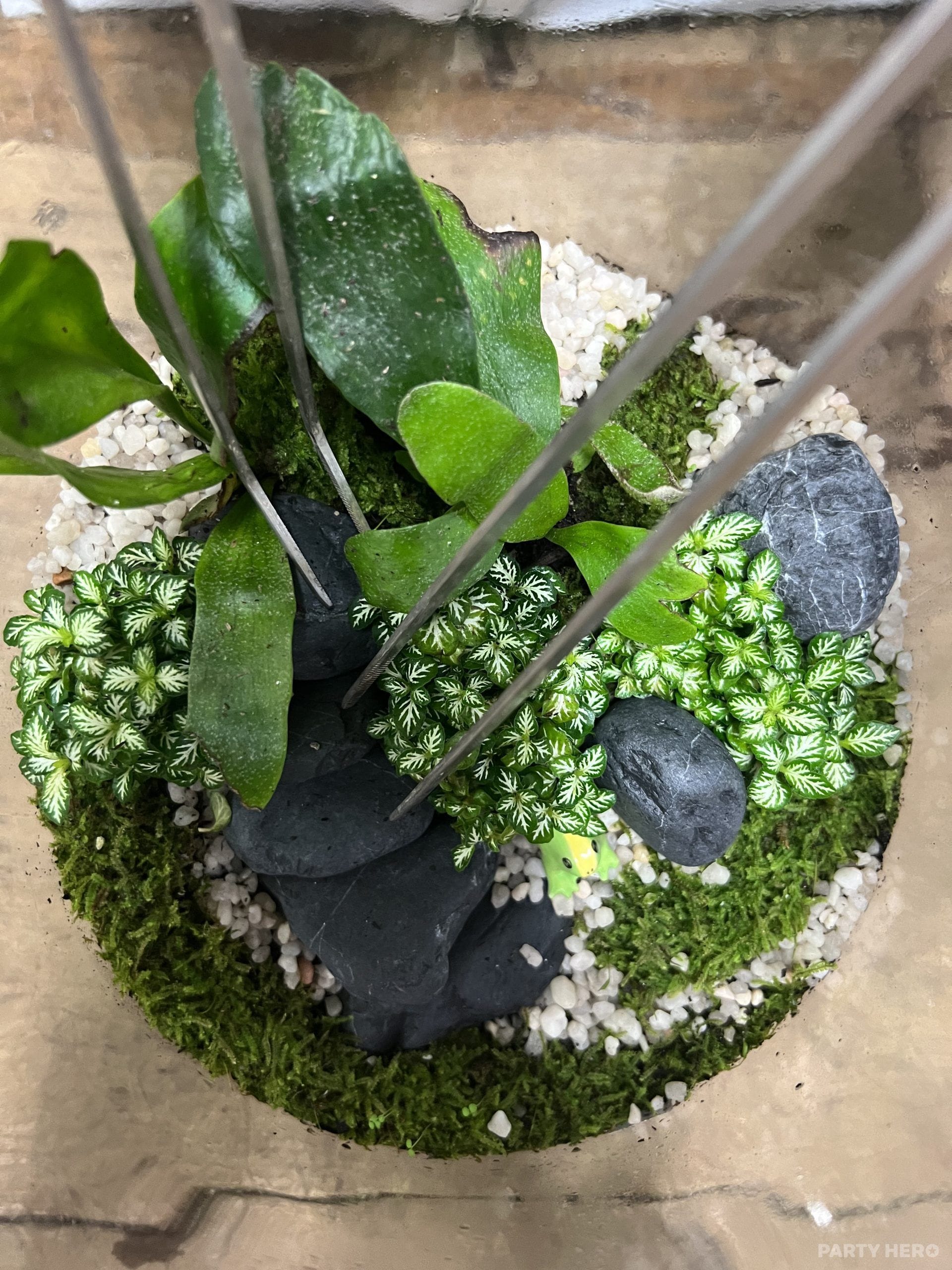 MJC Botanical - paint and sip in Brisbane