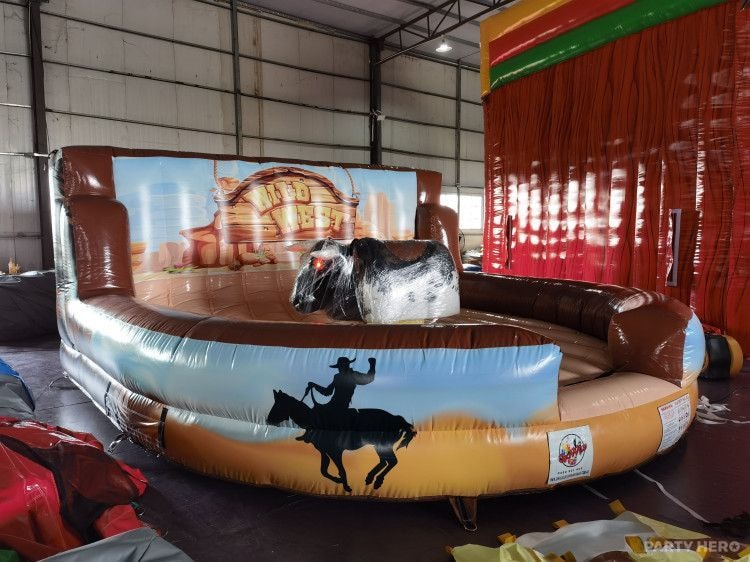 GoWild Castles & Party Hire - jumping castle hire in Brisbane