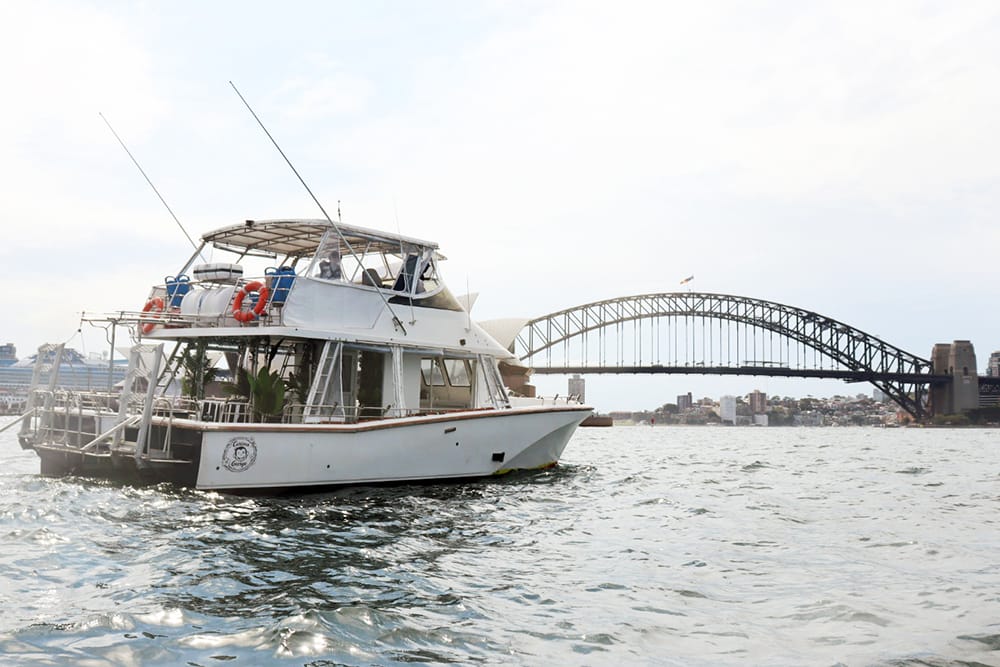 Curious George - Sydney Harbour boat hire