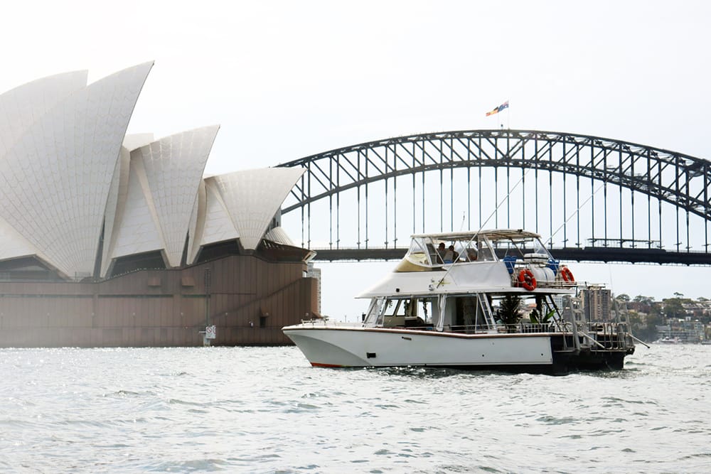 Curious George - Sydney Harbour boat hire