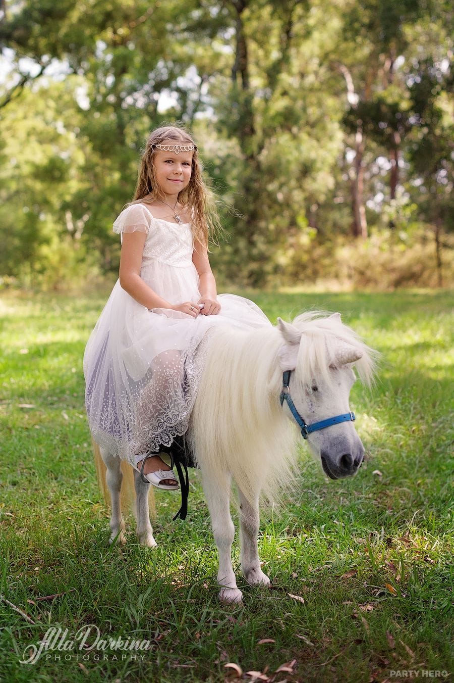 Alla Darkina Photography activity in Sydney - group bookings