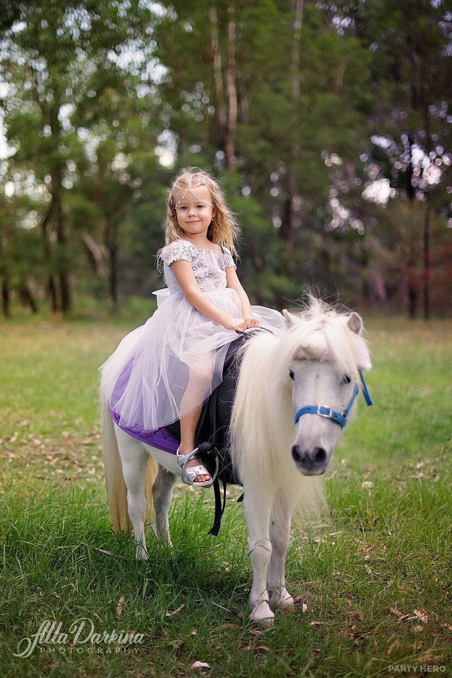 Alla Darkina Photography activity in Sydney - group bookings