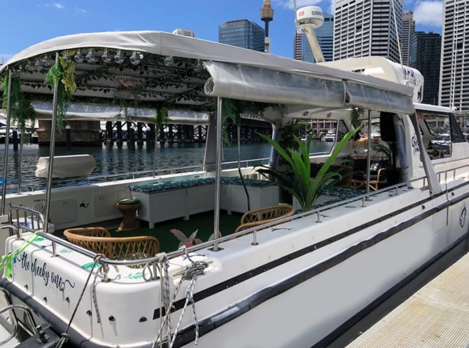 Monkey Business - Sydney Harbour boat hire