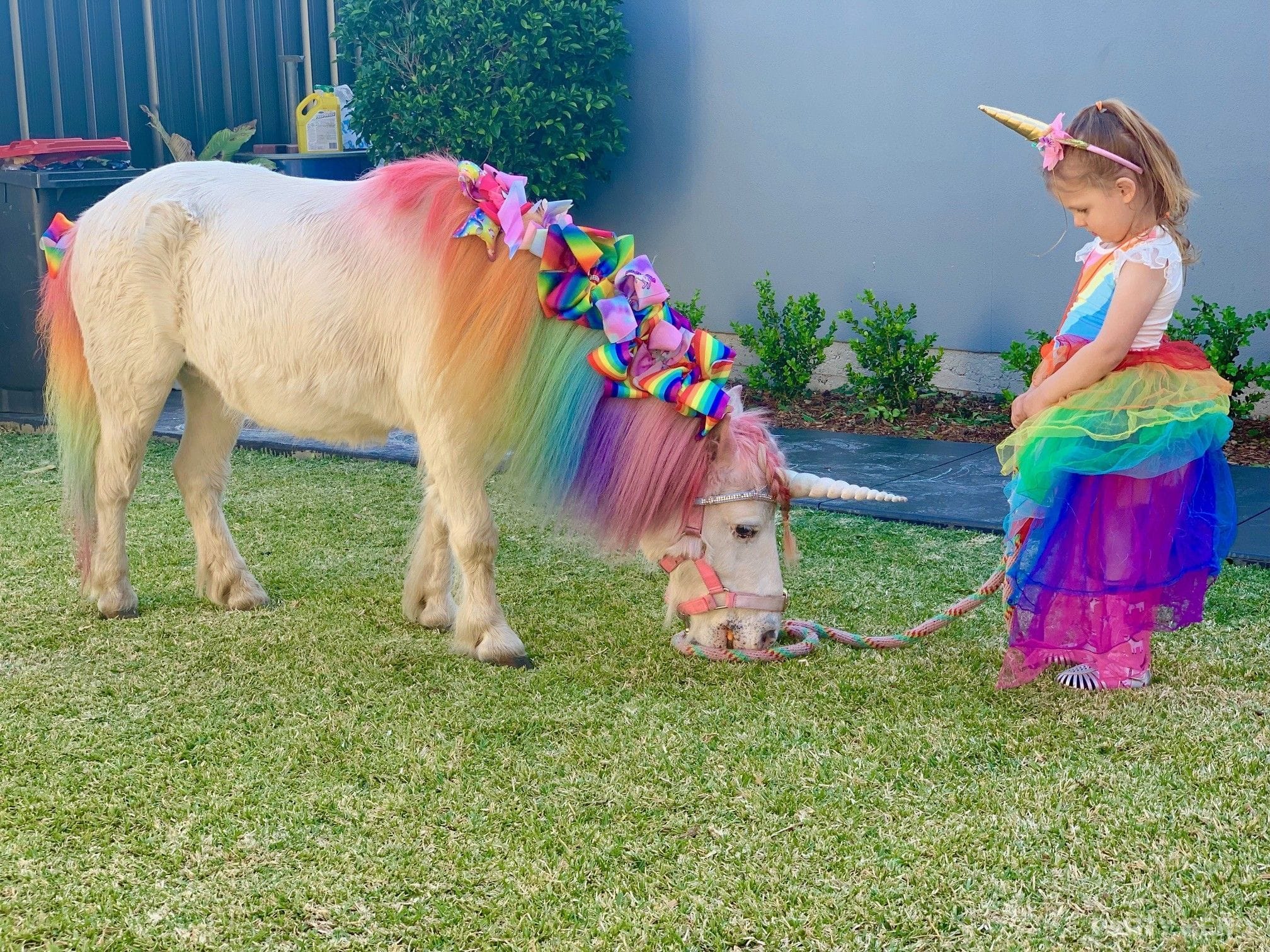 Unicorn Parties Sydney - kids entertainers in Sydney