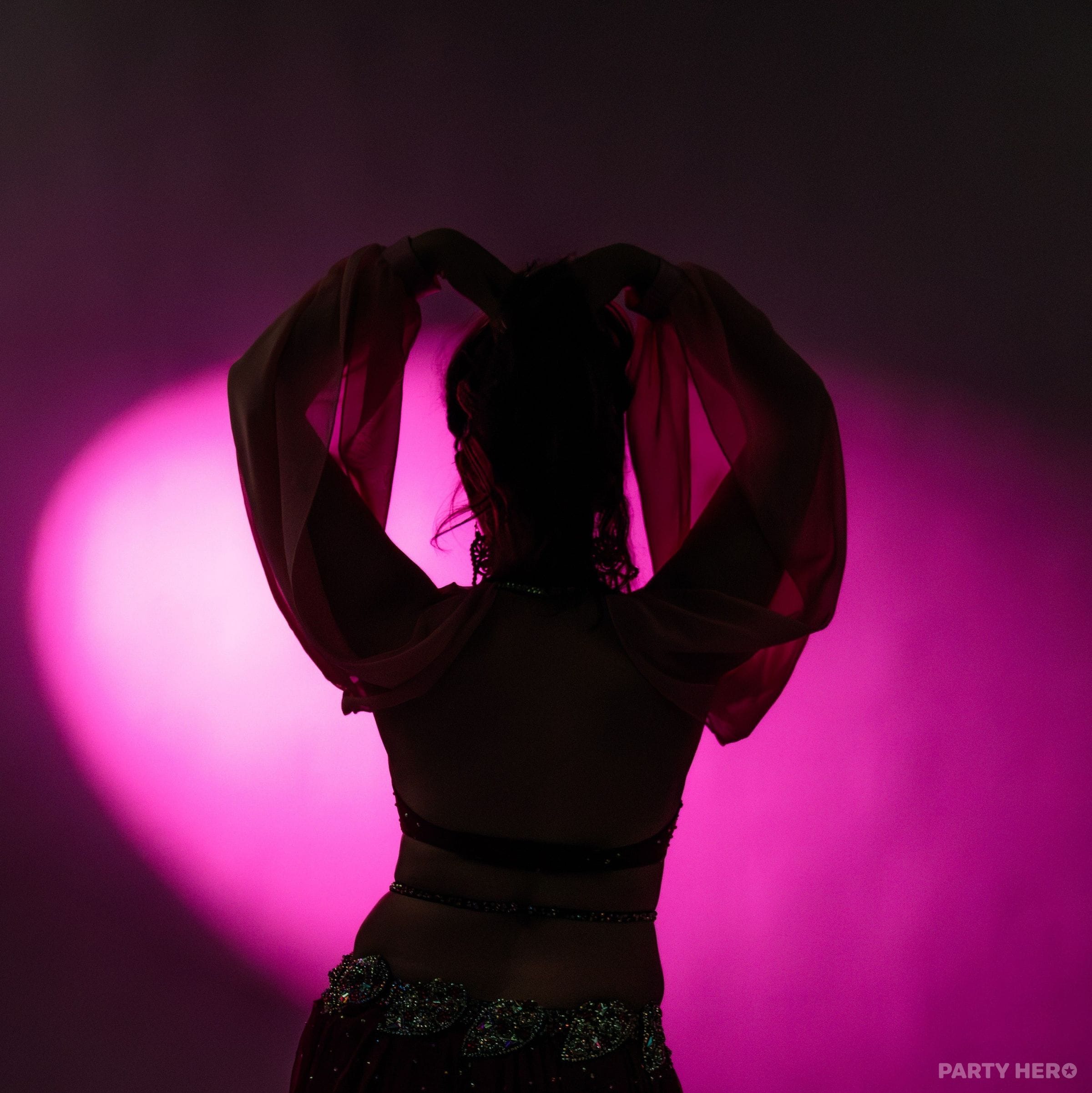 Ellie Maye Belly Dance - circus and dance performers in Wollongong