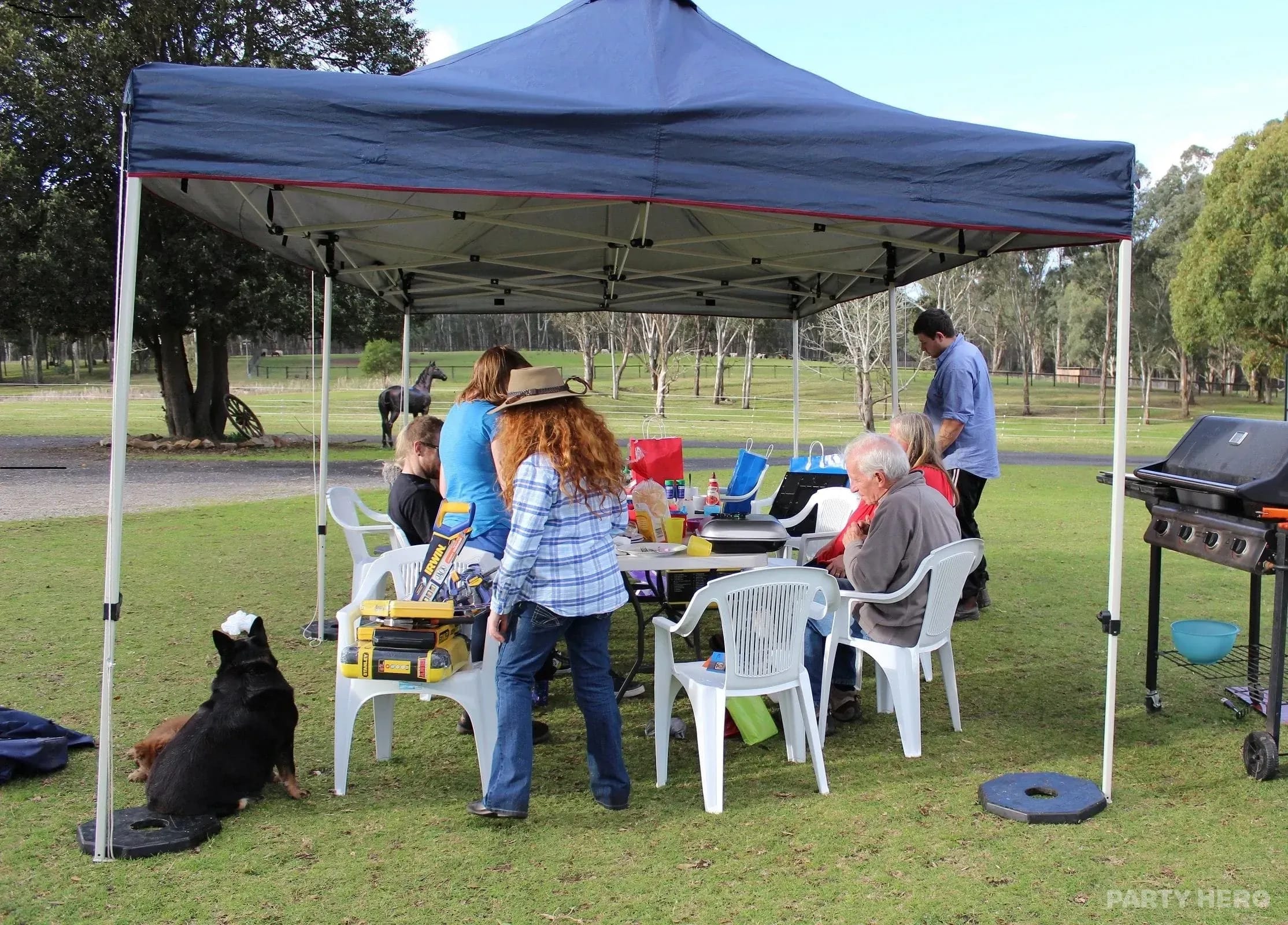 My Pony Party - kids entertainers in Sydney