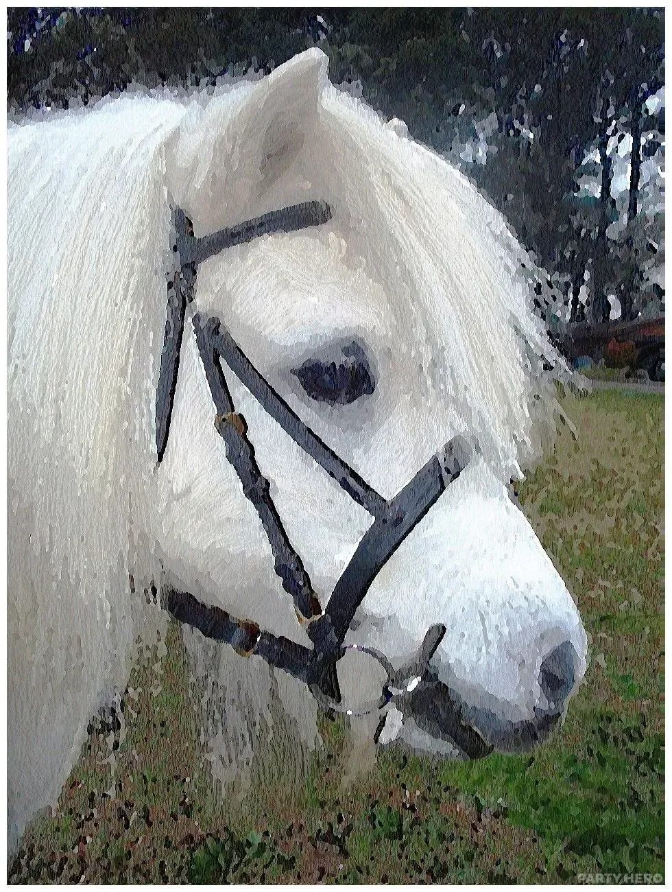 My Pony Party - kids entertainers in Sydney