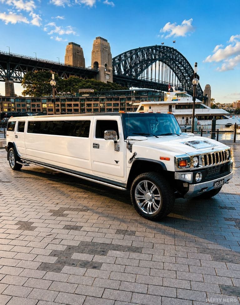 Love Limousines activity in Sydney - group bookings