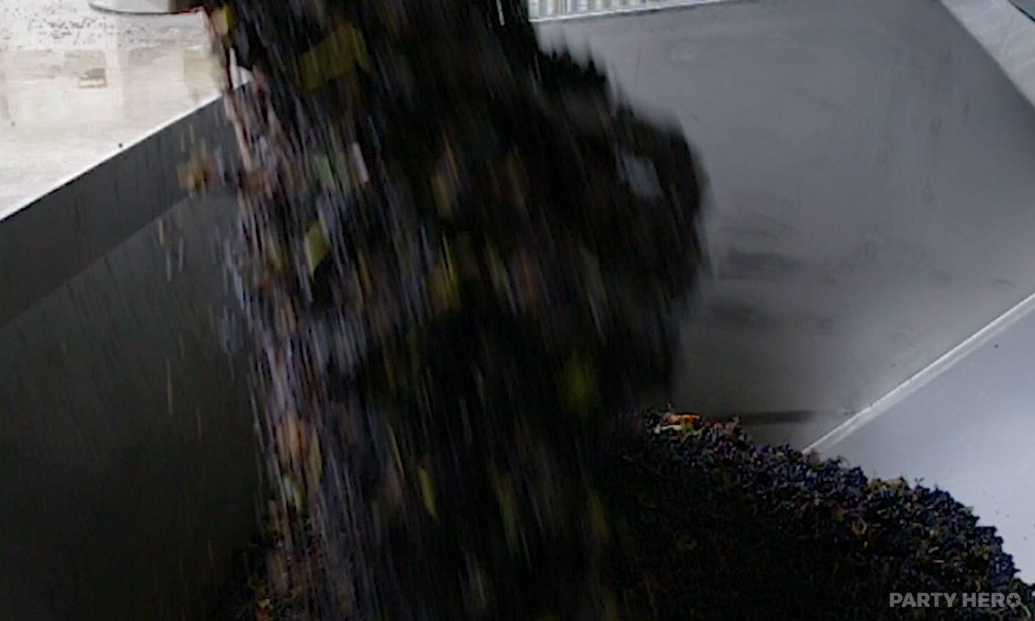 De Iuliis Wines - group activities in the Hunter Valley