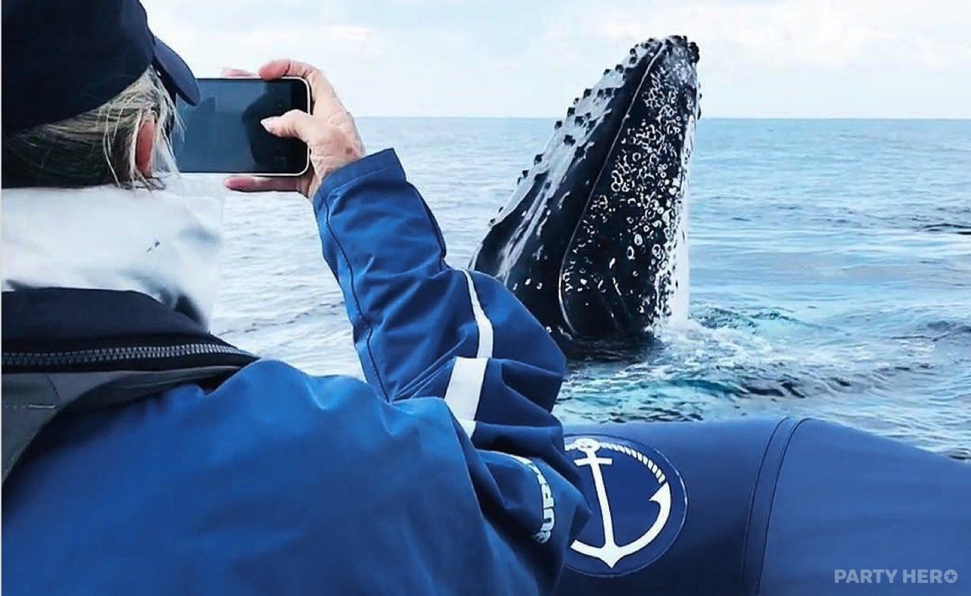 Out Of The Blue Adventures - wildlife experiences in Byron Bay