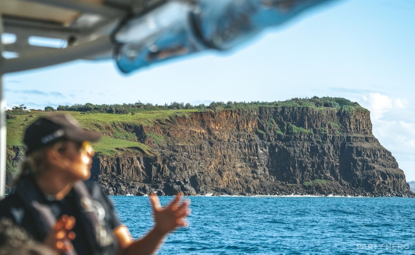 Out Of The Blue Adventures - wildlife experiences in Byron Bay