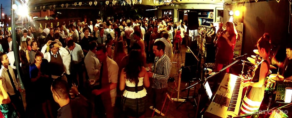 Sydney Party Entertainment - guitarists in Sydney