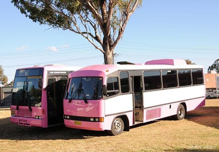 Hens Bus Sydney activity in Sydney - group bookings