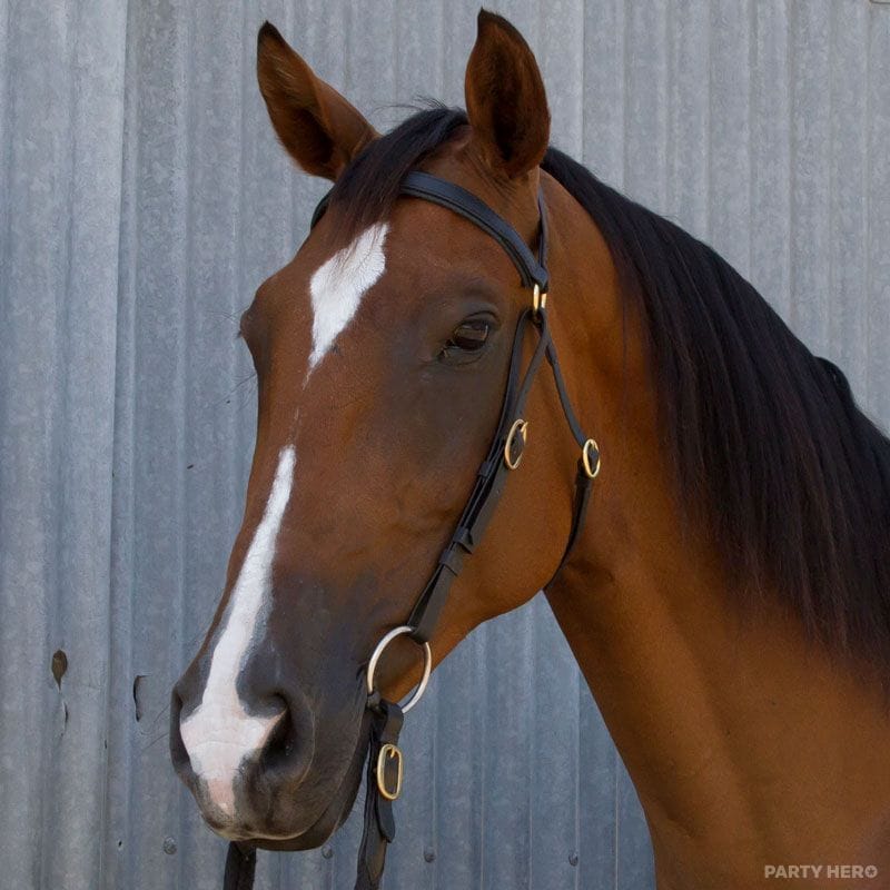 Woodlands Trail Riding - horse riding in Melbourne