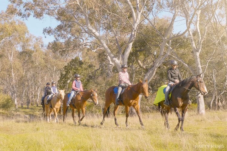 Woodlands Trail Riding - horse riding in Melbourne