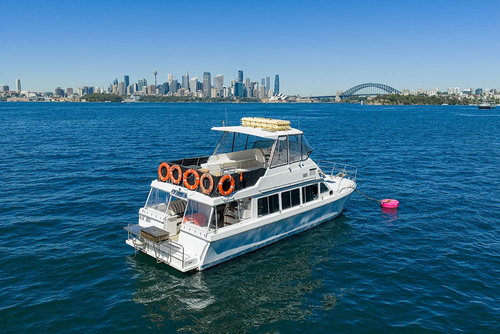 Ali B - Sydney Harbour boat hire
