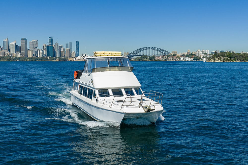Ali B - Sydney Harbour boat hire