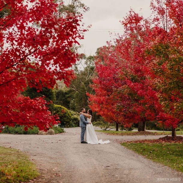 Growwild Wildflower Farm - party venue in the Southern Highlands